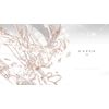 Cytus α - Switch