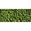 mucuna pruriens - SLEEP COMPLEX 952mg (1) - magnesium oxide