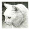 Sakura Pigma Micron-Size 10-Black, C3
