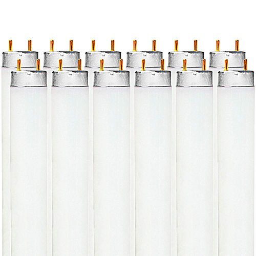 LUXRITE F32T8/865 32W 48 Inch T8 Fluorescent Tube Light Bulb, 6500K Daylight, 2800 Lumens, G13 Medium Bi-Pin Base, LR20735, 12-Pack