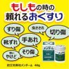 [Third drug class] Omi Brothers Menturm 40g