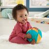 Fisher-Price Activity Monkey & Ball