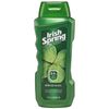 Irish Spring Body Wash Original 18Oz