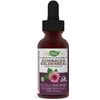 Nature's Way Premium Formula Echinacea-Goldenseal, 250 mg per serving, 99.9% Alcohol-Free, 1.01 Oz.