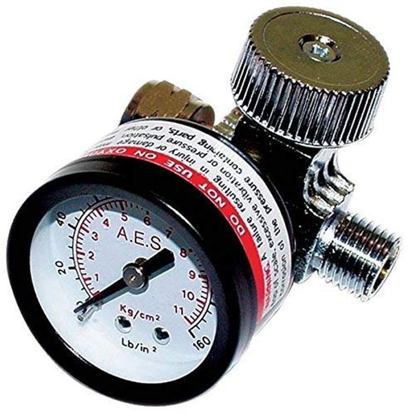 Air Regulator w/ Gauge