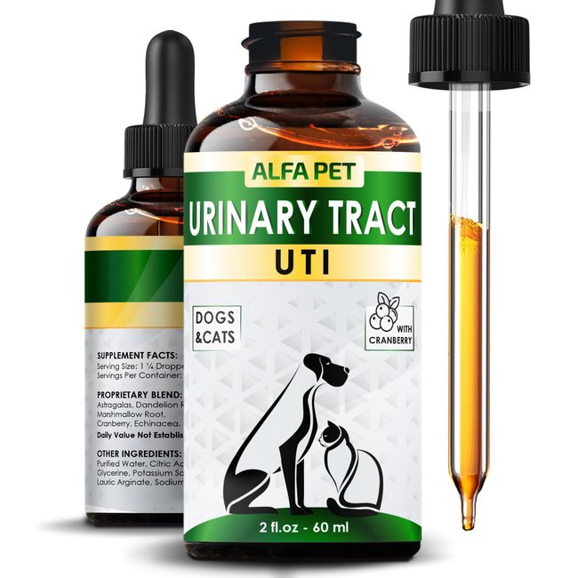 Dog Urinary Tract Infection Treatment • Cat Treatment for UTI • Kidney Support for Dogs • Dog UTI Treatment • Feline UTI Treatment • Dog Kidney Support • Kidney Support for Cats