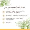Burt’s Bees Toothpaste, Natural Flavor, Fluoride-Free, Purely White, Zen Peppermint, 4.7 oz, Pack of 3