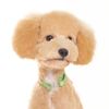 Dogo Contempo Argyle Collar - Blue - Medium
