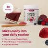 Nitric Oxide Beet Root Organic Powder, Heart & Blood Pressure - Snap Supplements