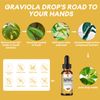 Nature Soursop Extract Liquid for Cell Support & Regeneration, Antioxidant