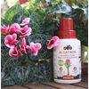 Cifo Algatron specialità nutrizionale 200 ml