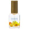 P. Shine Flavor Oil SQ Coconut 12ml