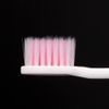 Systema Sound Wave Assist Brush (Electric) Replacement Brush Normal