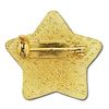 Star Badge Lapel Pin 10 Pack (Green)