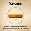 Dramamine Non-Drowsy Naturals with Natural Ginger, 18 Capsules by Dramamine