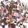 ARToptions Plum Grove Laser Cut Outs-Wildflowers