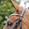 Whitaker Lynton Leather Snaffle Bridle With Spare Browband (Full) (Black)