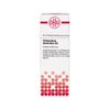Orthosiphon stamineus D2 DHU Dilution, 20 ml Lösung