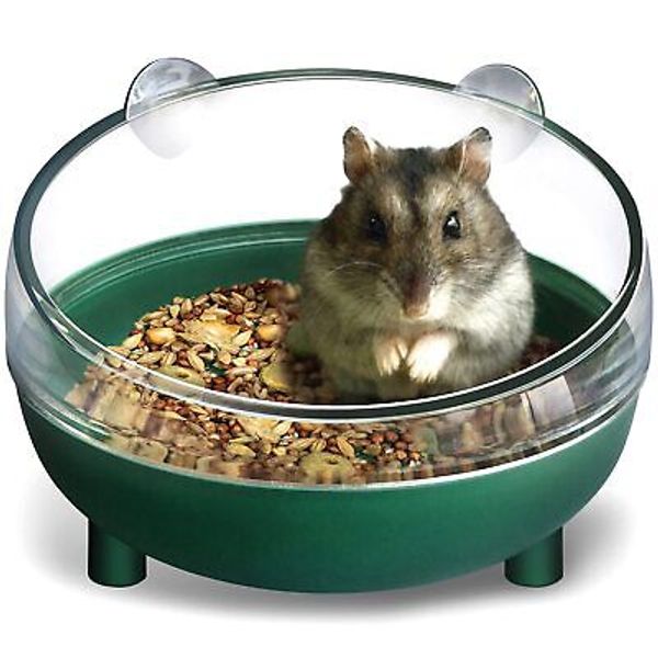 Hamster Food Bowl Elevated Tilted Pet Feeder Reduces Neck Strain Suitable for...