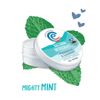 Earth Conscious Natural Deodorant Balm (Peppermint & Spearmint)