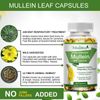 Mullein Leaf Capsules Extra Strength Support Respiratory Health Lung Detox 120Pc