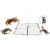 AirFly Foldable Castable Crabjaw Trap with Bait Clip - Rectangle Design Crab Trap Hawk
