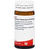 Arnica E Planta Tota D 30 Gl 20 g