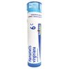Boiron Hamamelis Virginiana 6C, 80 Pellets, Homeopathic Medicine for Hemorrhoids