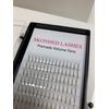💗007mm thickness W Shape Bloom 3D 4D 5D Premade Fans Eyelash Extension