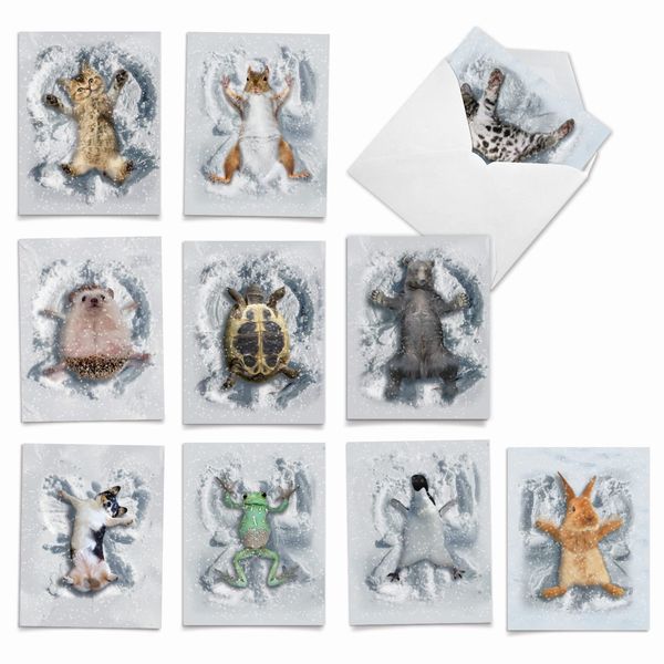 The Best Card Company 10 Blank Notecards w/Envelopes Box Set, 4 x 5.12 Inch, Wildlife Cards for Men Women and Kids - Critter Snow Angels M4187OCB-B1x10