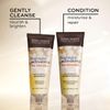John Frieda Sheer Blonde Highlight Activating Moisturising Shampoo 250ml by John Frieda