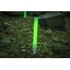 SE Survivor Series Emergency Glow Stick Set (5 PC.) - LS615GP-5