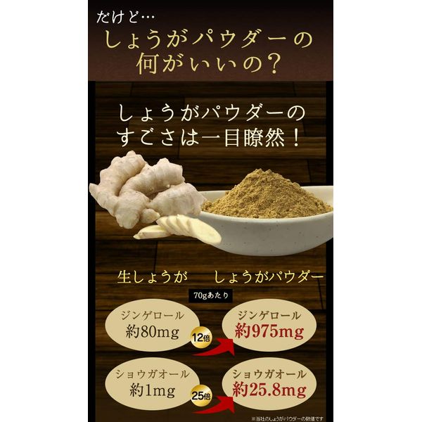 国産 生姜パウダー100g しょうが 粉末 高知県産