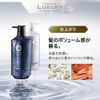 ANGFA Scalp D Dignity The Scalp Shampoo, 11.8 fl oz (350 ml), Scalp D High Definition Shampoo, Gift, 2021