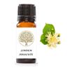 Therapeutic Grade 100% Pure Linden Absolute Oil (5ml)