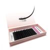 KALENTIN, Flat D Curl Eyelash Extensions in Paper Packaging, MIX BOX, Thickness 0.20mm