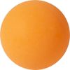 Sunflex Adult Mini Table Tennis Set, Multi-Colour, M