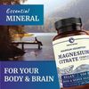 Nobi Magnesium Citrate Complex 500 MG High Absorption Formula Relaxation, 60 ct