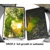 DROP.2 Algae Scrubber UAS® ATS Aquarium Filter Chaeto Reactor Skimmer Canister 