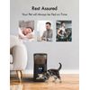 Automatic Cat and Small Dogs Programmable Pet Feeder Dispenser w Voice Recording