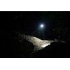 Olight Oclip Pro Purple Clip on Flashlight & imini 2 Rechargeable Mini Flashligh