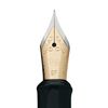 Erudite - Extra Fine Nib (Black section Gold trim) -1pc Poly bag packaging