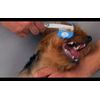 SCAREDY CUT Silent Pet Grooming Kit + Tiny Trim for gentle PETS, BLUE COMBO