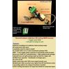 Charvel Custom Solderless HH Wiring Upgrade +Coil Split MV/MT/+3way TOGGLE Mod
