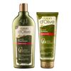 Dalan Hair Care Set - Colour Protection - 400 ml Shampoo & 200 ml Conditioner Set of 2