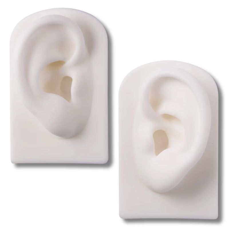 Ear Shape, Fake Piercing, Ear Model, Ear Drawing, Silicone, Left and ...