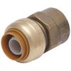 SHARKBITE 1/2" Fip Push Adapter