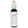 Willow - 20 ml - Liquid