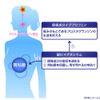 [Designated 2 OTC drugs] Eve Quick Headache Medicine 60 tablets *Product subject to self-medication tax system