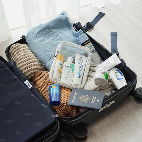 Zip Bins Clear Storage Bins for Home Organization | Stackable Hard Shell Zipper Case to Organize Playroom Toy Bin | Zippered Hard Pouch Container TSA Approved Toiletry Bag Travel Bags for Toiletries